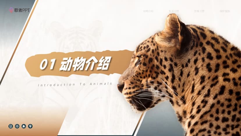 Cover 2