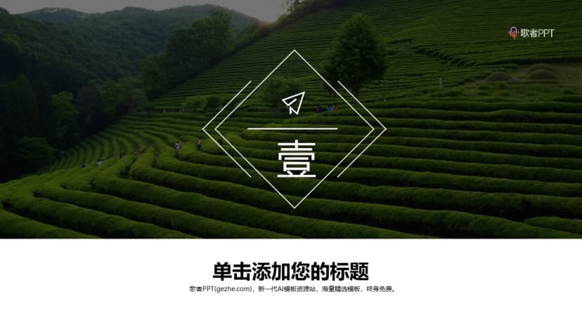 Cover 2