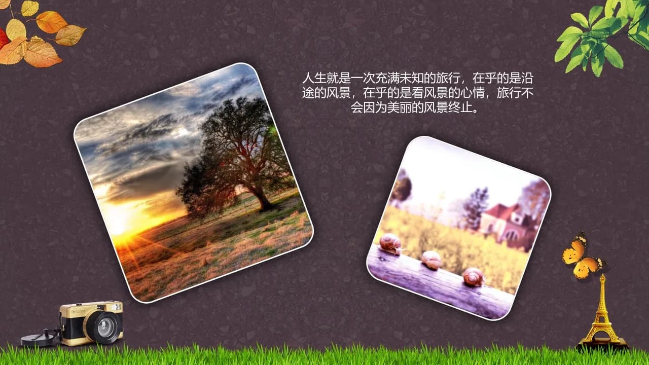 Case 7