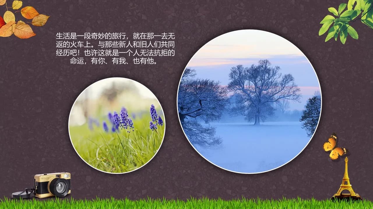 Case 14