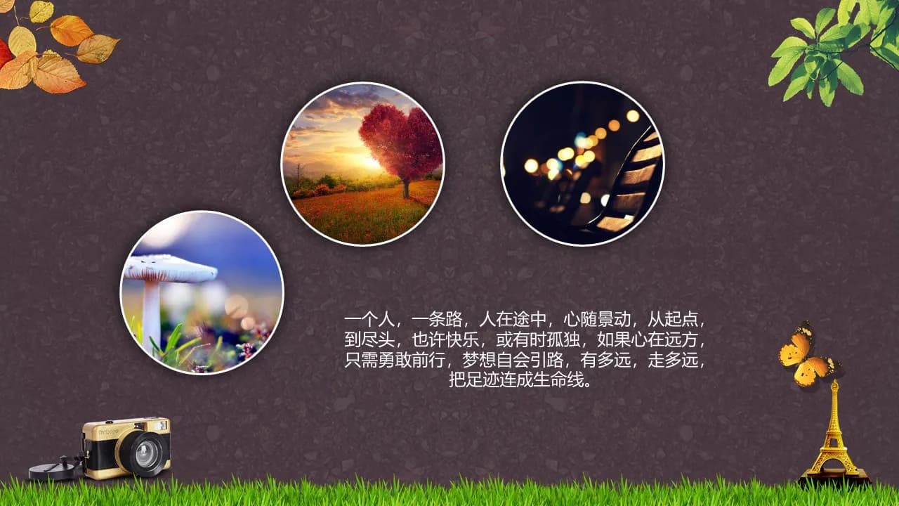 Case 12