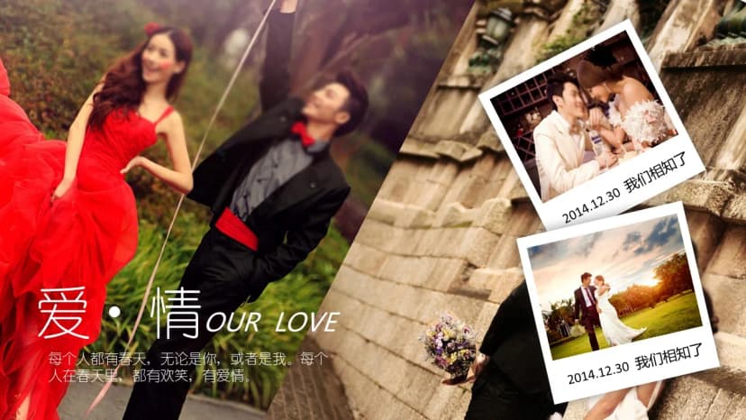 Cover 4