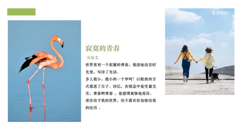 Cover 4