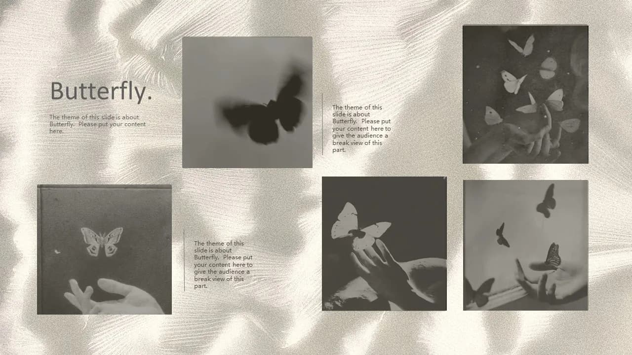 Case 13