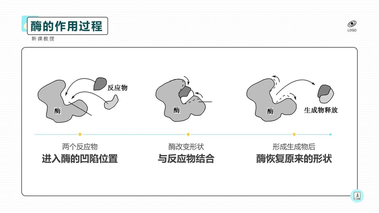 Case 10