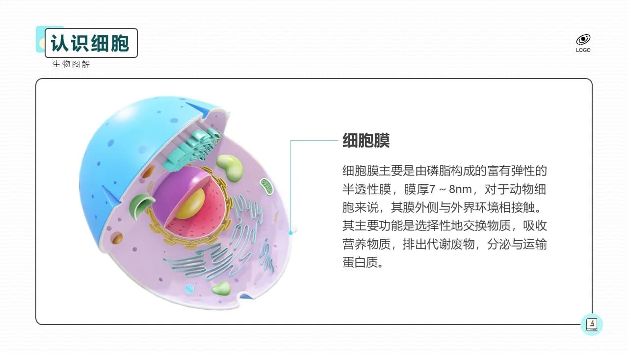 Case 13
