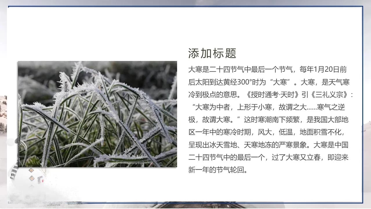 Case 5