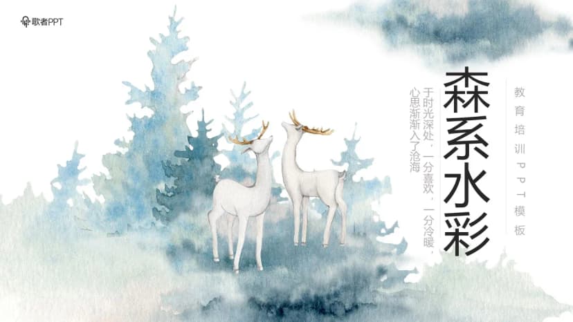 First Cover