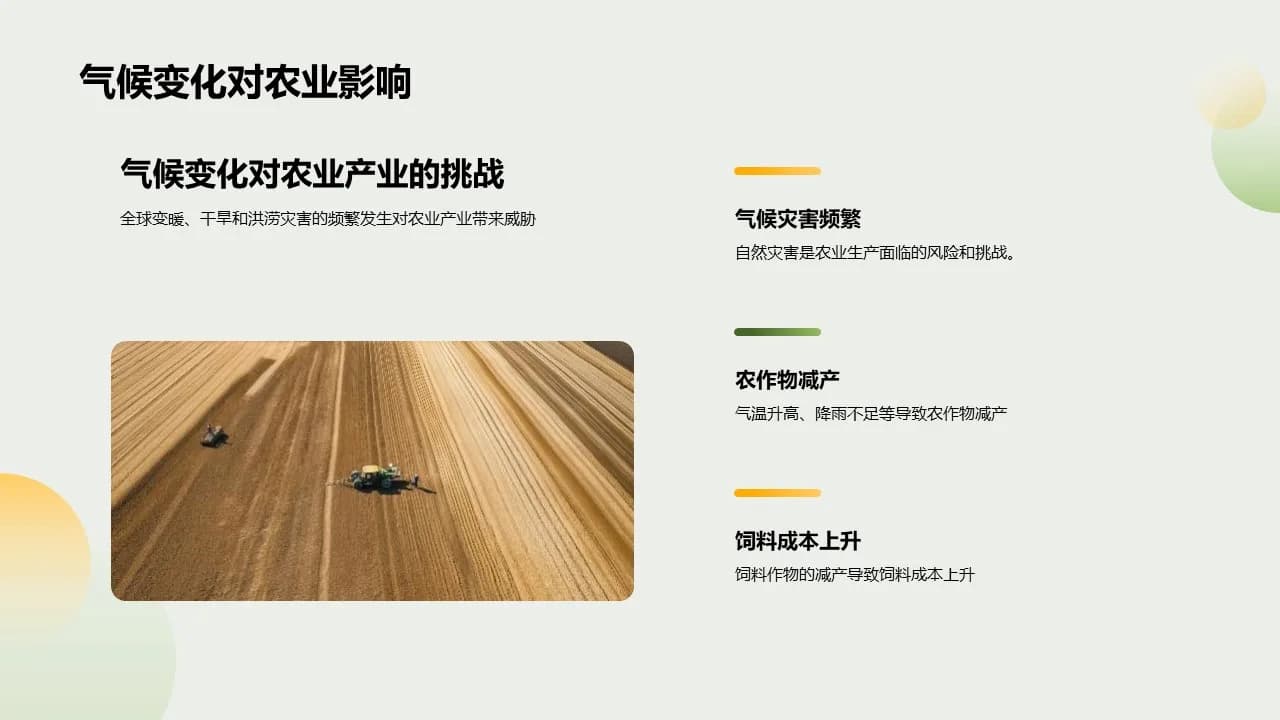 Case 12
