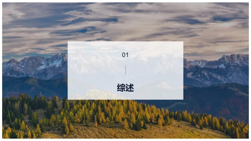 Cover 2