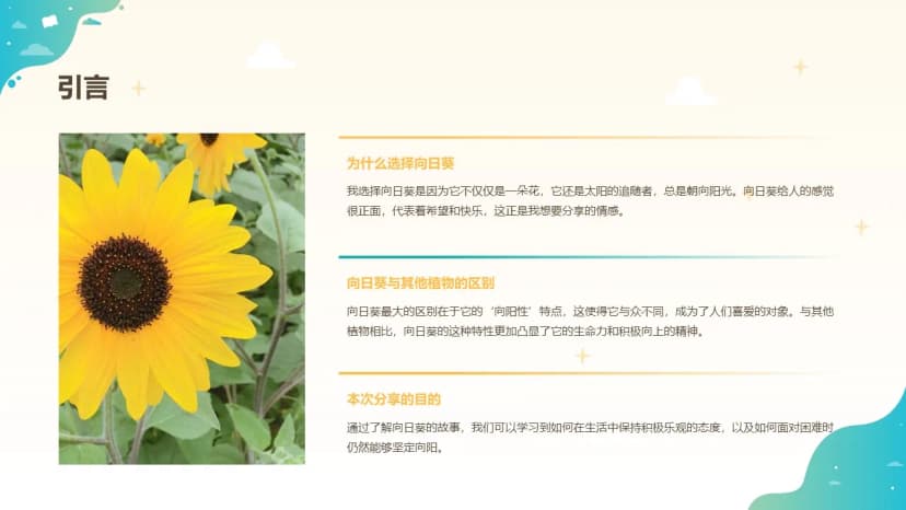 Cover 3